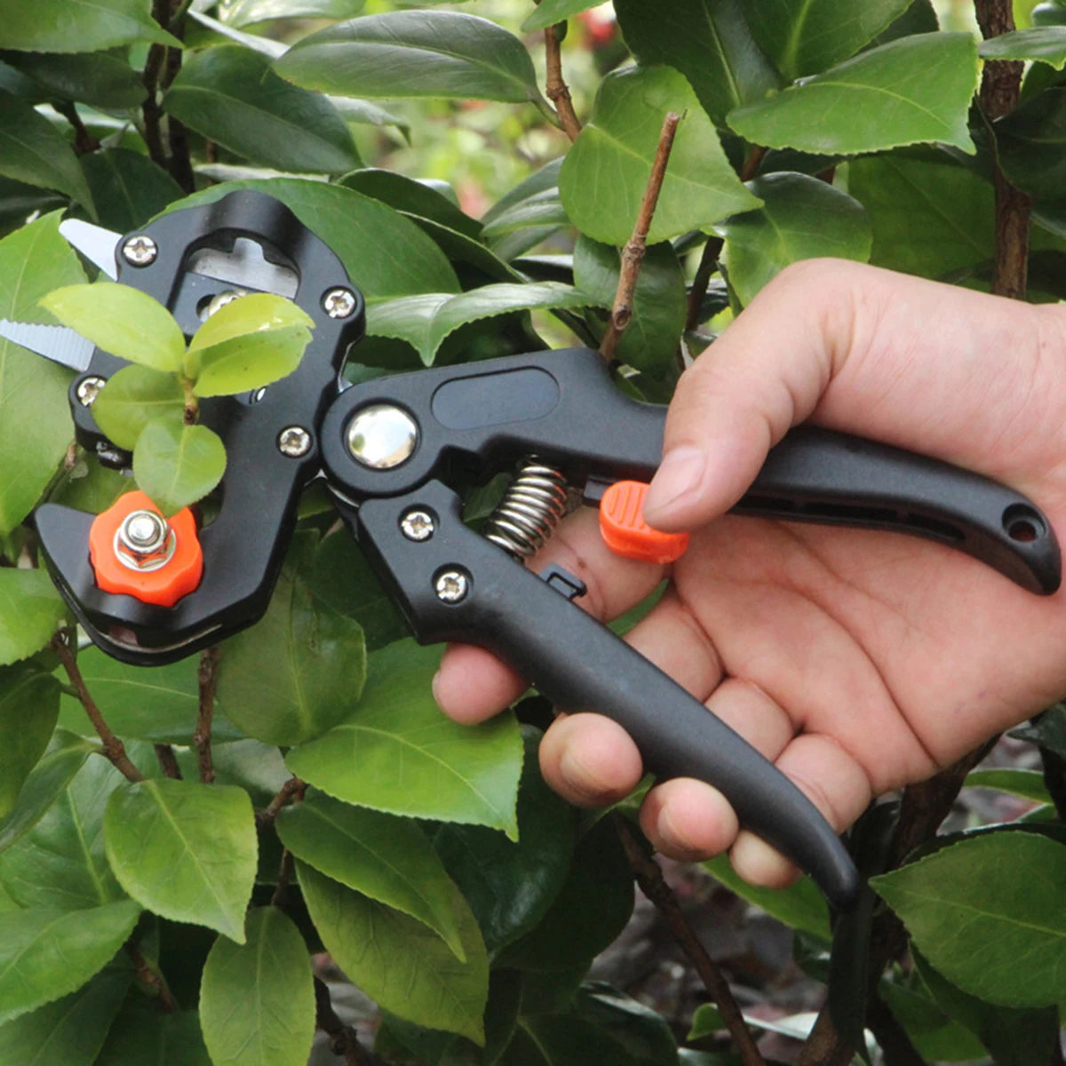 Grafting Garden Tool