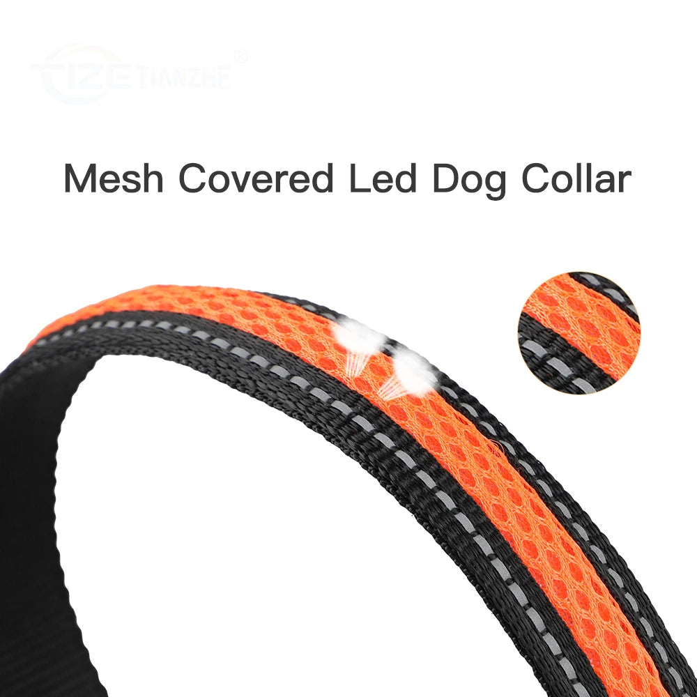 LED pet Collar