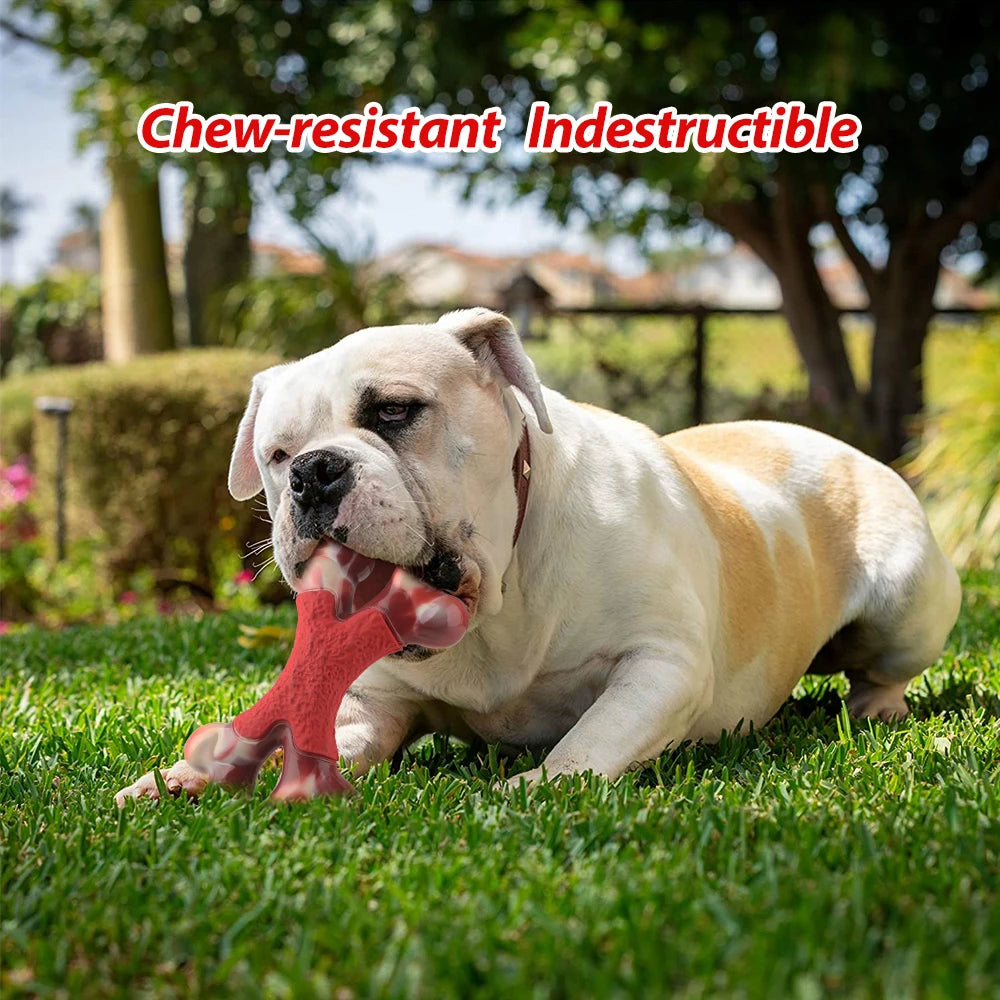 Durable Dog Double Bone Dog Toy